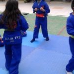 taekwondo liceo educativo